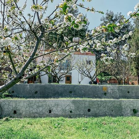 Milea Mansion Villa Limasol Dış mekan fotoğraf